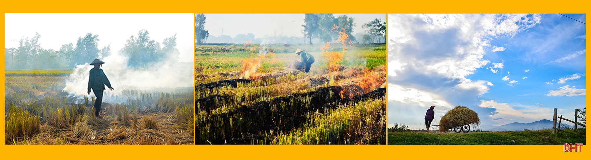 Lúa gặt rồi còn để lại rơm thơm…