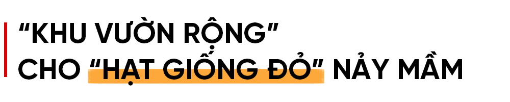Đảng viên là người có đạo ở Hà Tĩnh - khi “hạt giống đỏ” được ươm mầm (bài 4): Phát triển đảng viên là người có đạo, góp phần xây dựng Đảng vững mạnh