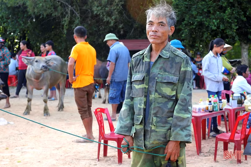 Phiên chợ trâu bò dưới chân cầu Sông Trí - nét quê trong lòng đô thị