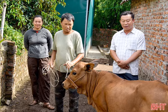 Thêm sinh kế, thêm cơ hội vươn lên cho người nghèo Đông Kinh