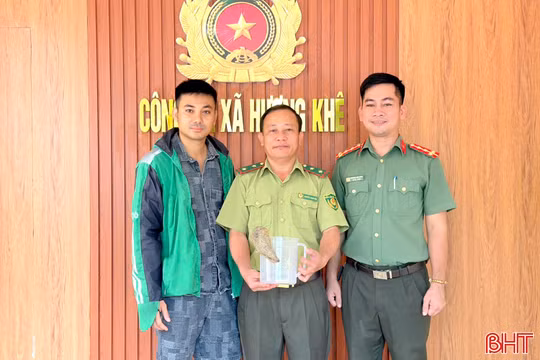 Người dân Hương Khê tự nguyện giao nộp cá thể tê tê Java quý hiếm