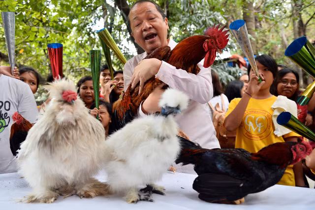 the gioi tung bung don nam moi dinh dau