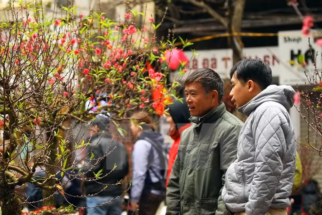 du bao xu the thoi tiet trong dip tet nguyen dan dinh dau