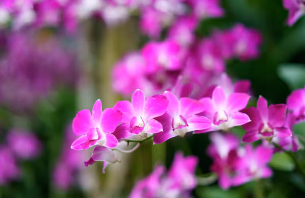 nam nao cung dep ca thoi