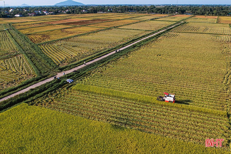 bqbht_br_a-dji-0820-1-9747.jpg