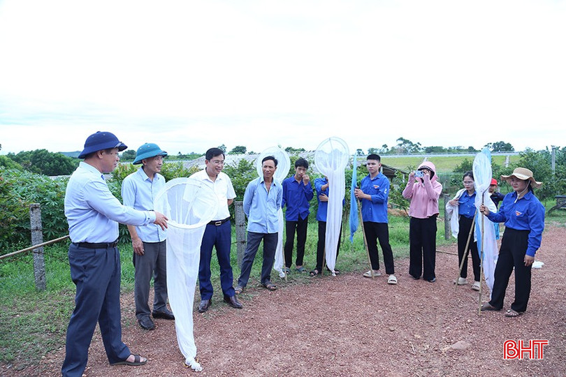 Ông Nguyễn Tuấn Lộc - Giám đốc Trung tâm Bảo vệ thực vật vùng khu IV hướng dẫn một số biện pháp diệt châu chấu tre tại xã Cẩm Hưng.