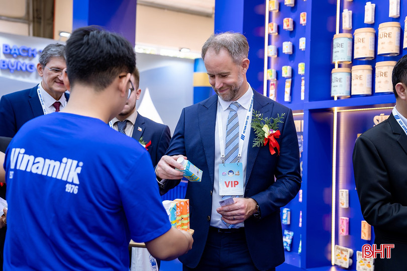 bqbht_br_anh-4b.jpg