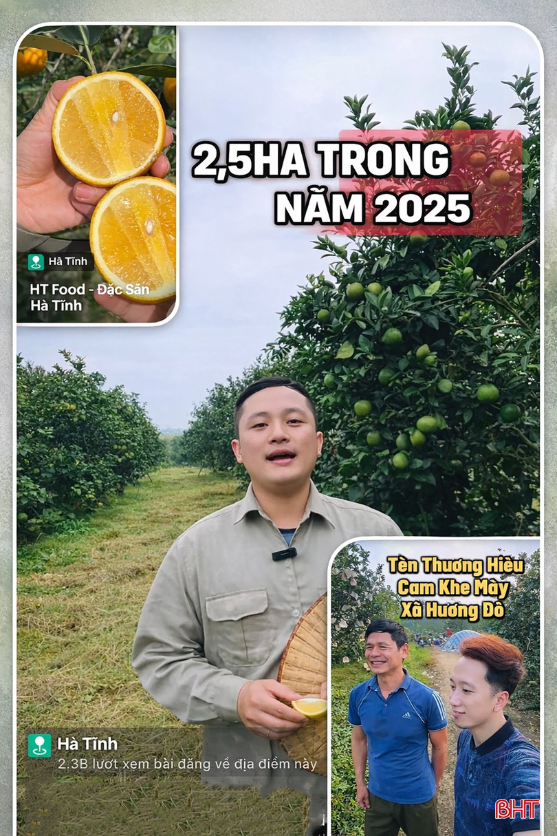 bqbht_br_1d0e6046-63f4-4e36-9116-44f3ee5daa24.png