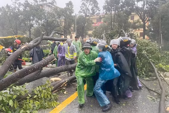 Khuyến cáo một số biện pháp phòng ngừa nguy hiểm từ cây xanh gãy, đổ 