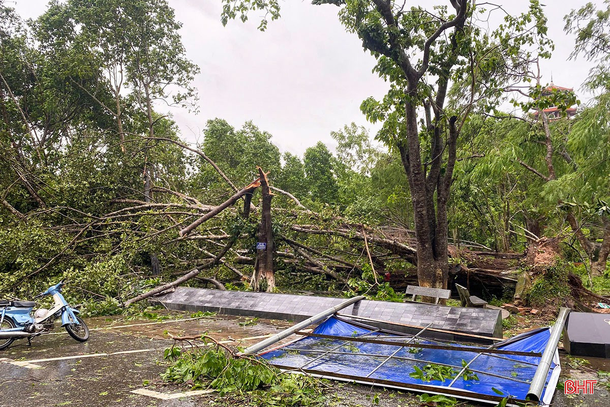 Tại Khu di tích Ngã ba Đồng Lộc, bão số 5 đã làm gãy đổ hàng loạt cây xanh, biển hiệu.