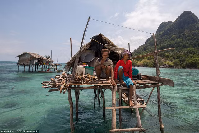 bo toc nguoi ca va cuoc song lenh denh khong quoc tich