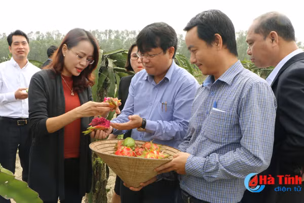 tao thuan loi de tap doan flc san xuat rau cu qua vung ven bien ha tinh