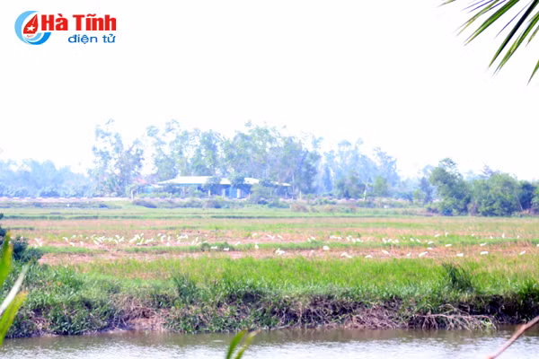 dao co giua long tp ha tinh nguy co xoa so do bi san bay