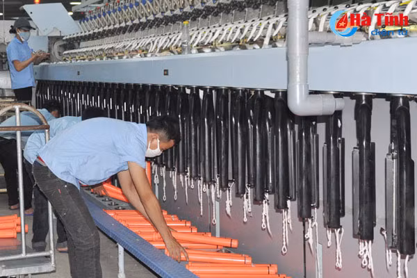 ha tinh don doi 12 trieu usd kim ngach xuat khau soi