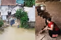 Nỗi lo sạt lở bên sông Ngàn Mọ