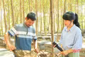  Vị ngọt từ nghề nuôi ong du mục