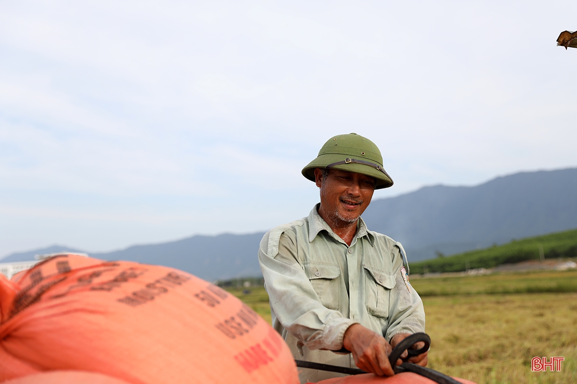 Nông dân TX phía Nam Hà Tĩnh gấp rút thu hoạch lúa xuân, làm đất vụ hè thu