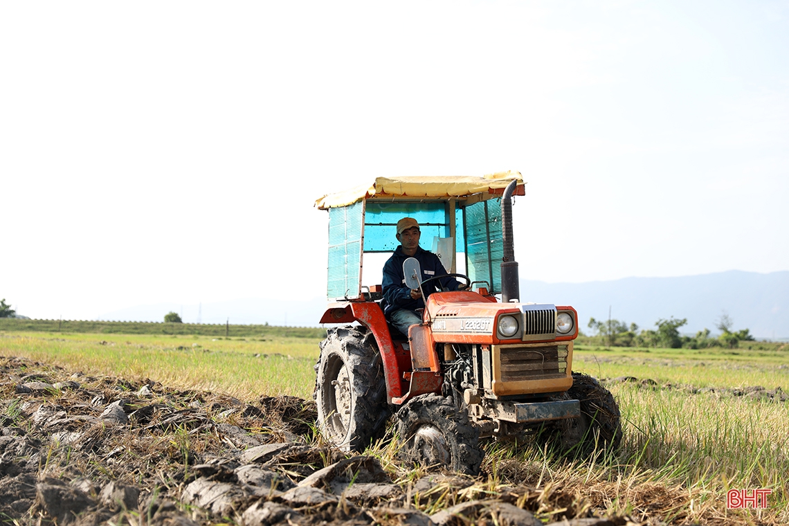 Nông dân TX phía Nam Hà Tĩnh gấp rút thu hoạch lúa xuân, làm đất vụ hè thu