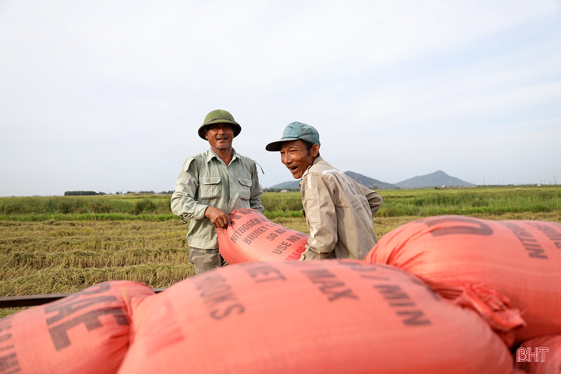 Nông dân TX phía Nam Hà Tĩnh gấp rút thu hoạch lúa xuân, làm đất vụ hè thu