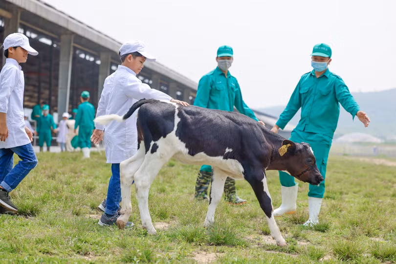Những khoảnh khắc đẹp trên hành trình của Quỹ sữa Vươn cao Việt Nam năm thứ 15