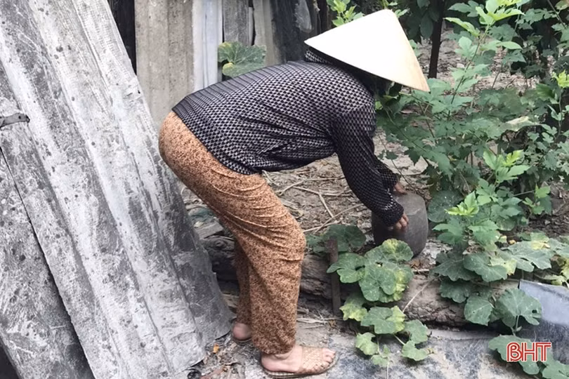Nâng cao kiến thức về bệnh sốt xuất huyết cho cán bộ y tế TP Hà Tĩnh