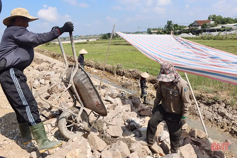 Tăng tốc thi công dự án xử lý cấp bách tuyến đê Hữu Phủ