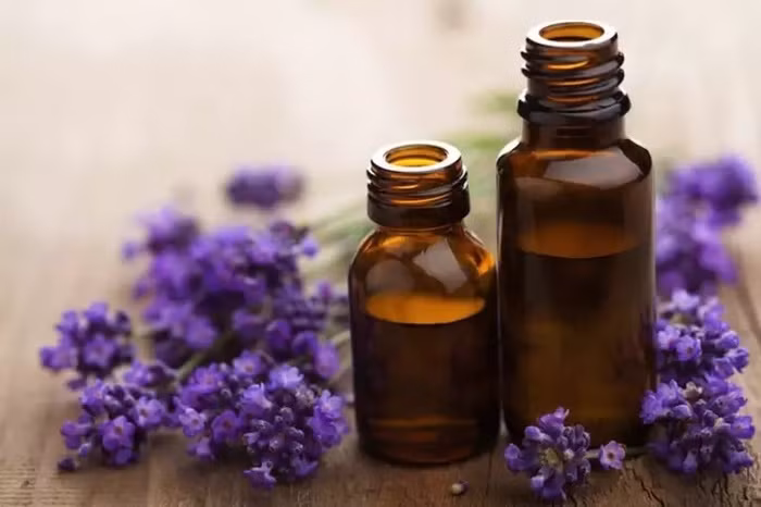 Không cần dùng thuốc, cơn đau vai sẽ thôi “hành hạ” bằng những mẹo đơn giản, rẻ sau đây
