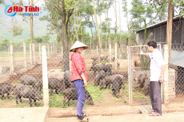 vo chong tre nuoi lon rung thu lai khung