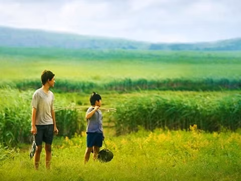 "Tôi thấy hoa vàng trên cỏ xanh" sẽ được chiếu tại tuần phim ở Hà Nội