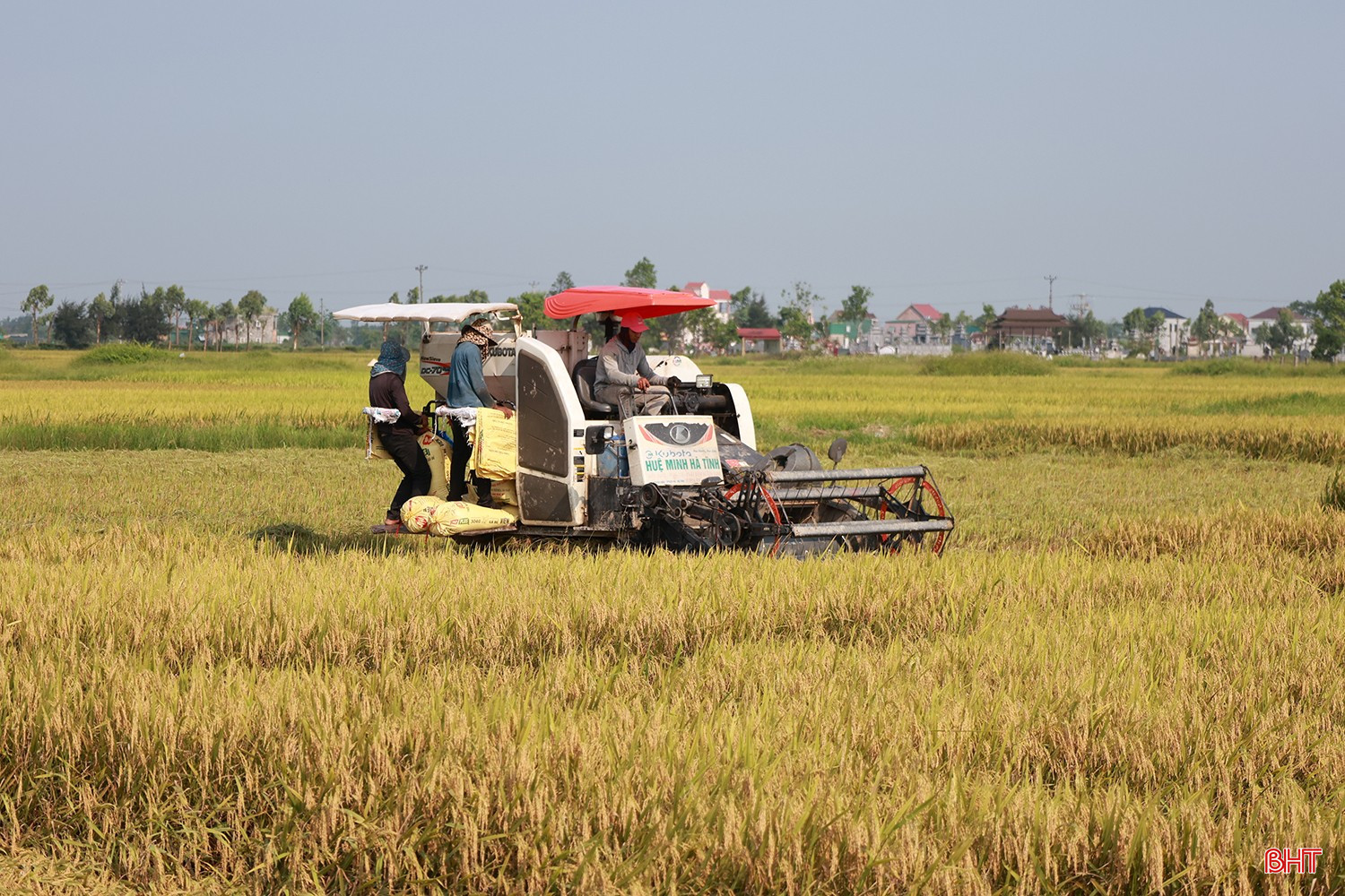 bqbht_br_l6.jpg