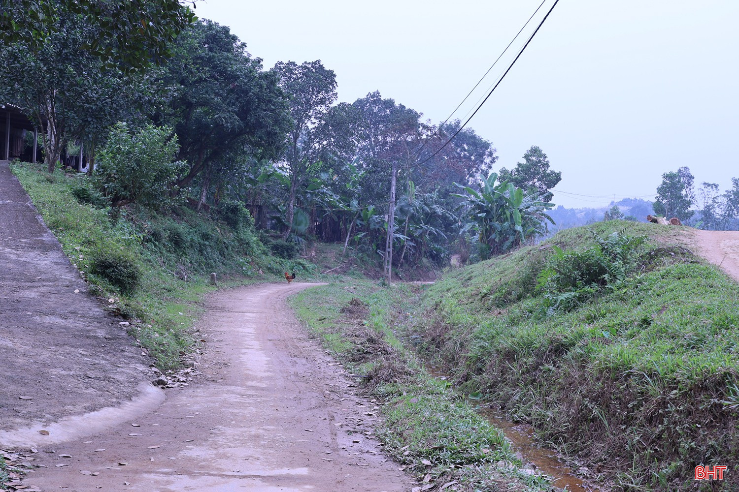 bqbht_br_duong-8.jpg