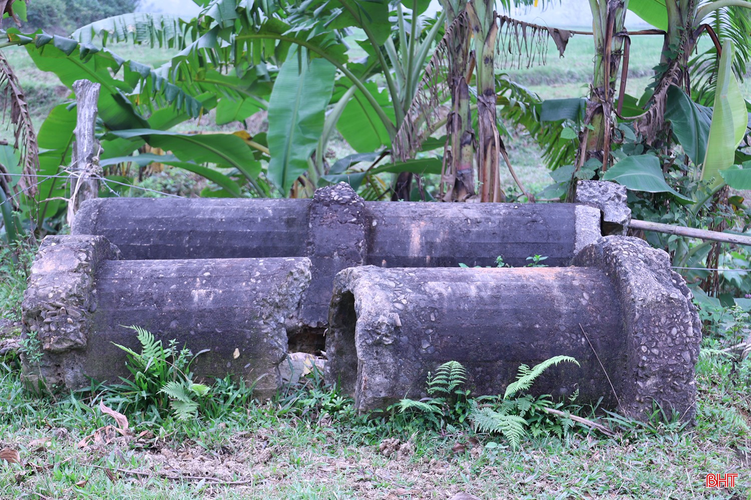 bqbht_br_duong-11.jpg