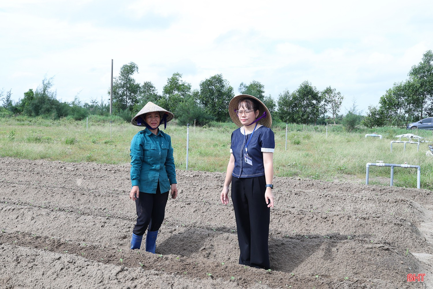 bqbht_br_a24.jpg