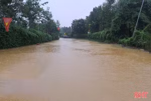 Hà Tĩnh: Các địa phương chủ động ứng phó với ngập lụt cục bộ do mưa lớn