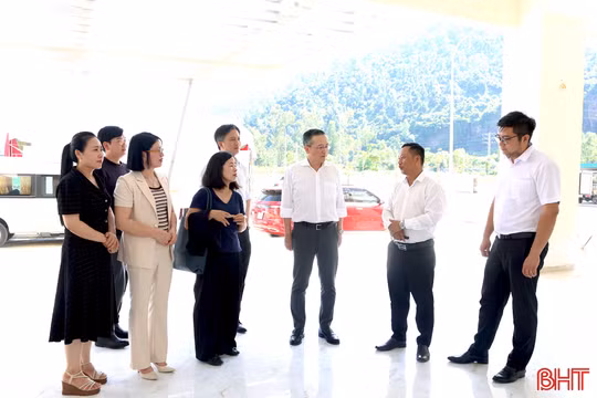Mở rộng kết nối doanh nghiệp Nhật Bản với DragonIZ Hà Tĩnh
