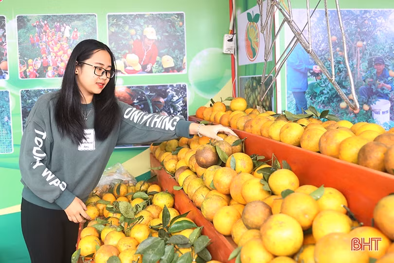 Lễ hội Cam và các sản phẩm nông nghiệp Hà Tĩnh lần thứ 4 sẽ tổ chức trong tháng 12