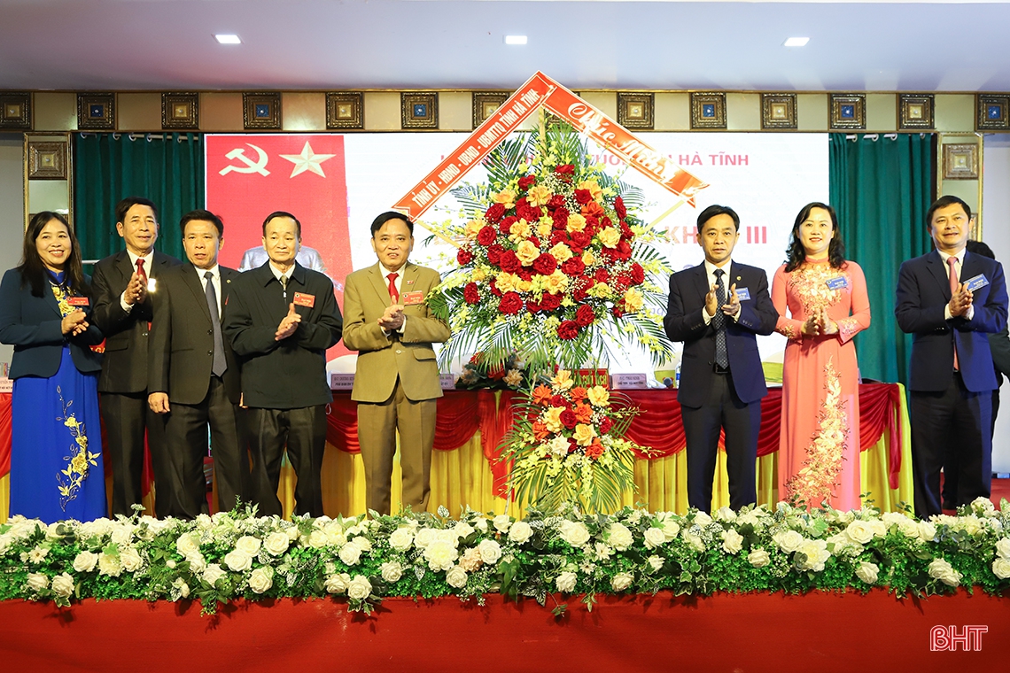 Ông Thái Sinh tái cử Chủ tịch Hội Người cao tuổi tỉnh Hà Tĩnh