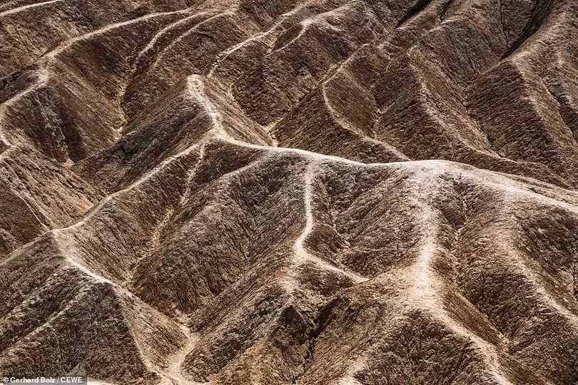 Những tác phẩm ấn tượng Cuộc thi ảnh CEWE Photo Award 2019