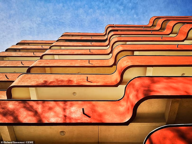 Những tác phẩm ấn tượng Cuộc thi ảnh CEWE Photo Award 2019