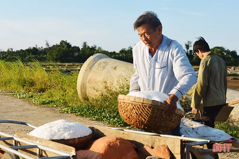 Diêm dân Hà Tĩnh: Trời càng nắng, đồng muối càng bội thu