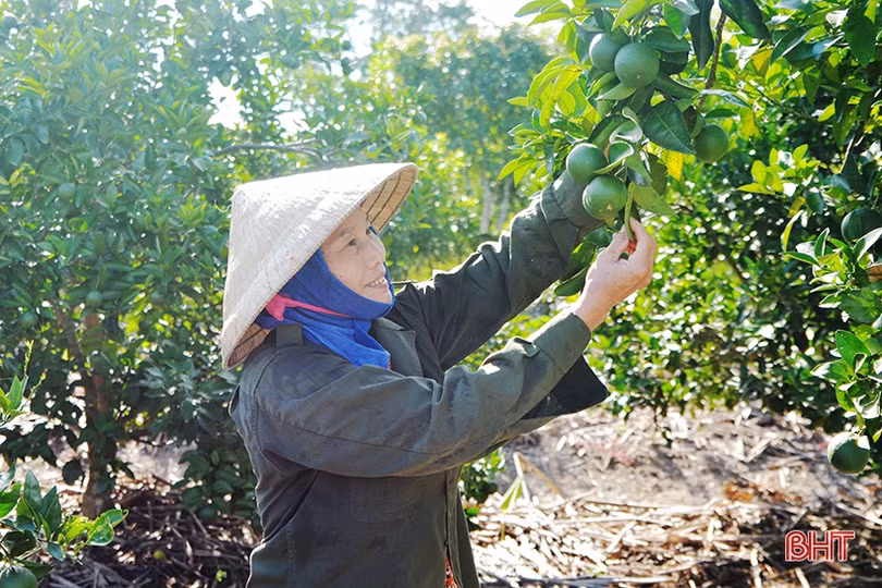Bị “tuýt còi”, xã NTM Vũ Quang chạy đua, quyết “giữ” bằng đạt chuẩn