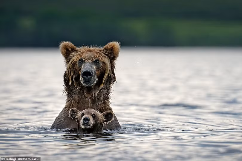 Những tác phẩm ấn tượng Cuộc thi ảnh CEWE Photo Award 2019