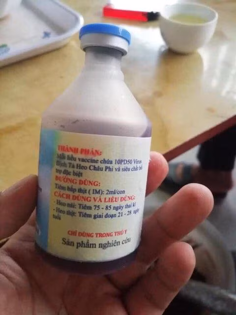 Cảnh báo xuất hiện vắc-xin dịch tả lợn châu Phi giả