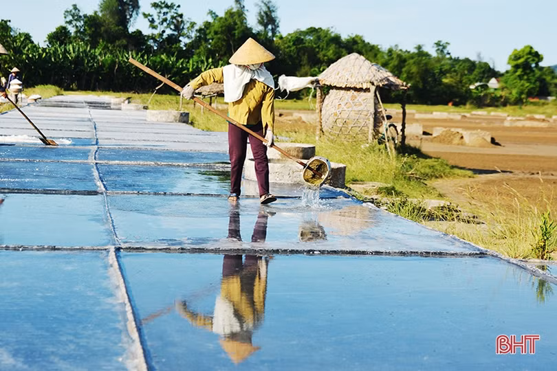 Diêm dân Hà Tĩnh: Trời càng nắng, đồng muối càng bội thu