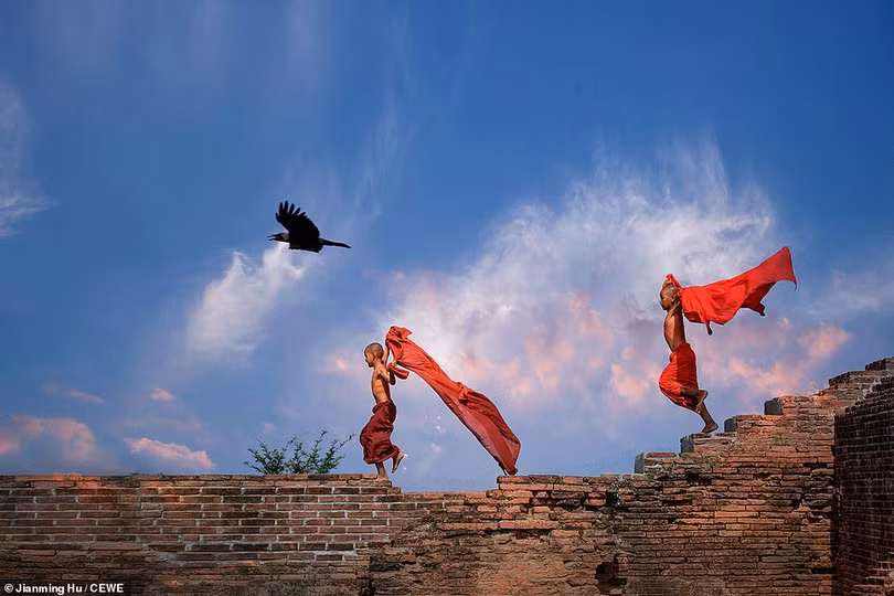 Những tác phẩm ấn tượng Cuộc thi ảnh CEWE Photo Award 2019