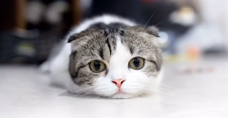 Những sự thật tiết lộ nhiều điều bất ngờ về thế giới