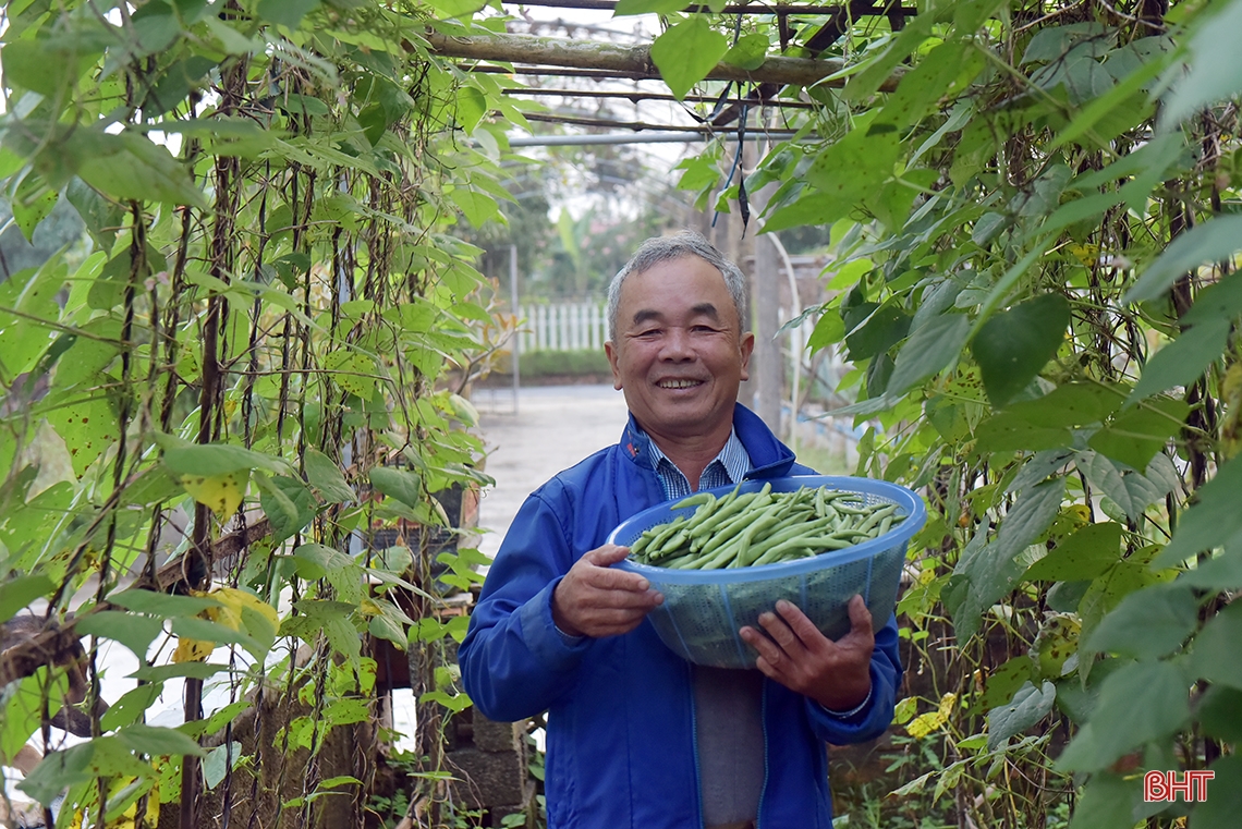 Hình hài những khu dân cư nông thôn mới kiểu mẫu thông minh ở Hà Tĩnh