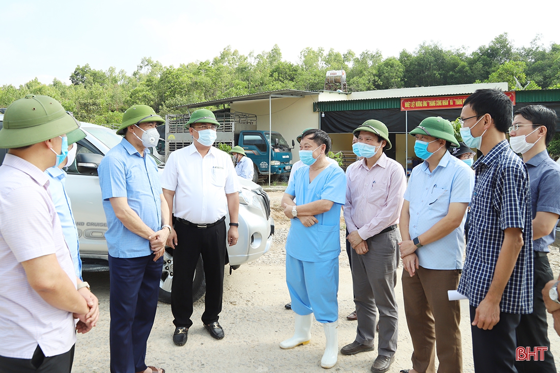 Chủ tịch UBND tỉnh Hà Tĩnh: Phấn đấu hoàn thành thu hoạch lúa xuân trước 20/5