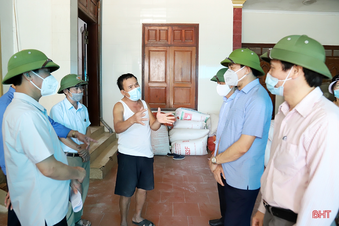 Chủ tịch UBND tỉnh Hà Tĩnh: Phấn đấu hoàn thành thu hoạch lúa xuân trước 20/5