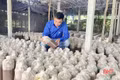 Tiếp sức cho thanh niên Hà Tĩnh lập nghiệp từ nguồn vốn vay ưu đãi